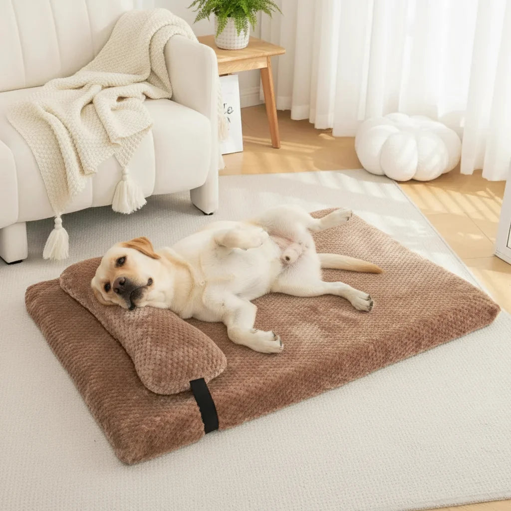 Lit pour grand chien